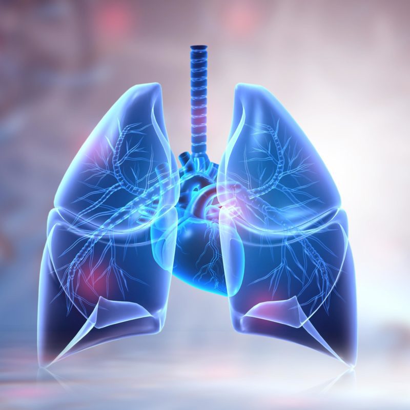 COPD: Diagnose, Behandlung und Rehabilitation